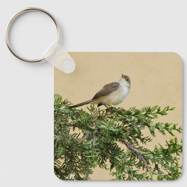 Porte-clés Carte postale du moineau (Recto)