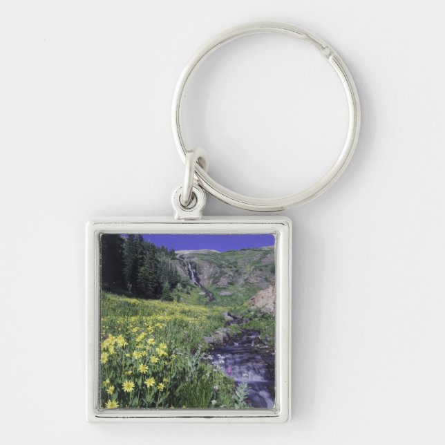 Porte-clés Cascade et fleurs sauvages dans un pré alpin, 2 (Devant)