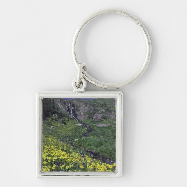 Porte-clés Cascade et fleurs sauvages dans une prairie alpine (Devant)
