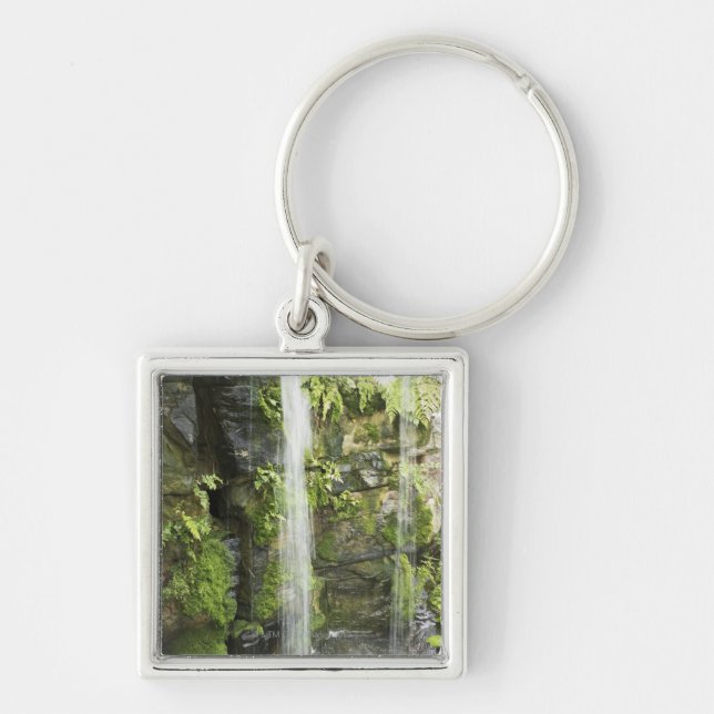 Porte-clés Cascade, forêt tropicale tempérée, Nouvelle (Devant)