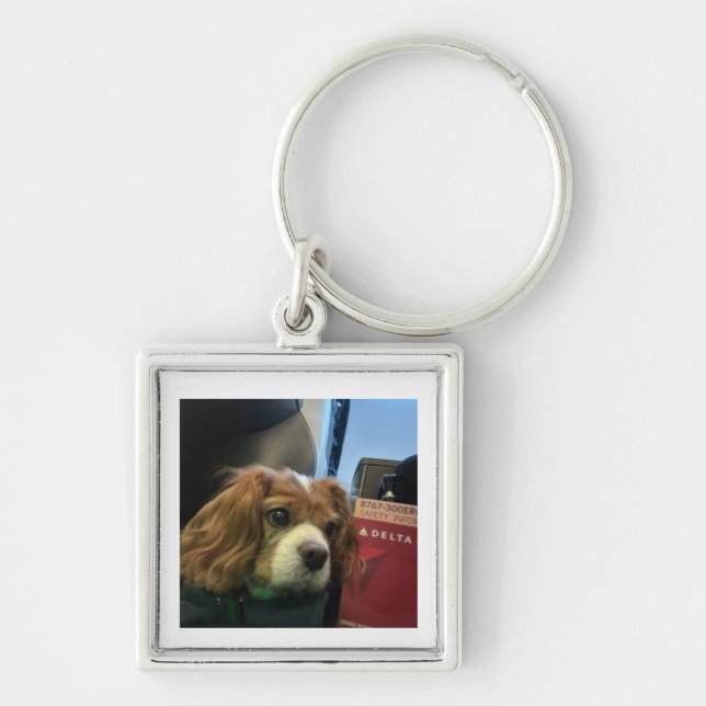 Porte-clés Cavalier King Charles (Devant)