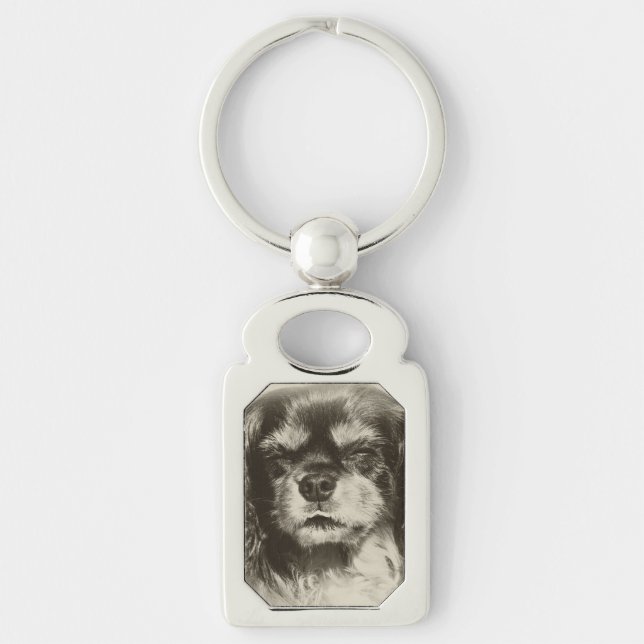Porte-clés Cavalier King Charles Spaniel (Devant)
