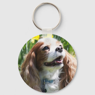 Porte-clés Cavalier King Charles Spaniel Blenheim souriant