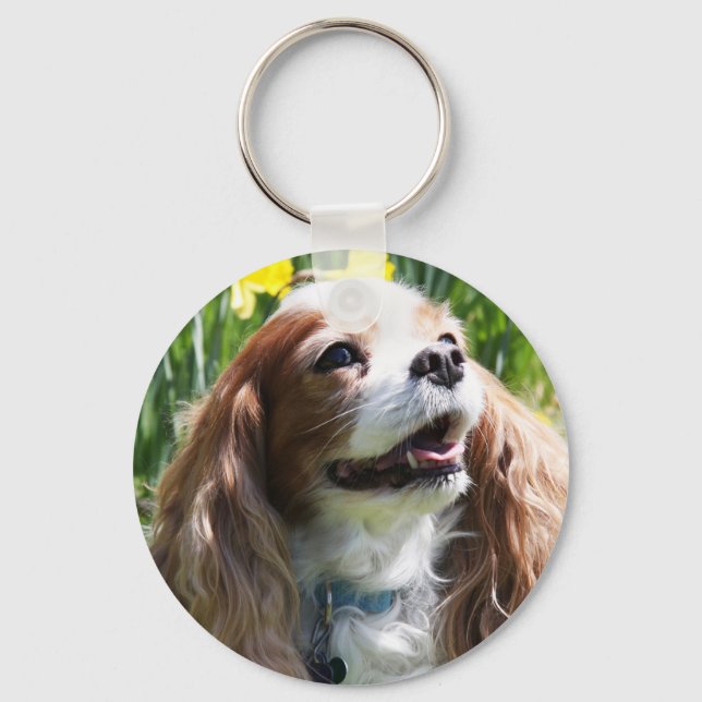 Porte-clés Cavalier King Charles Spaniel Blenheim souriant (Recto)