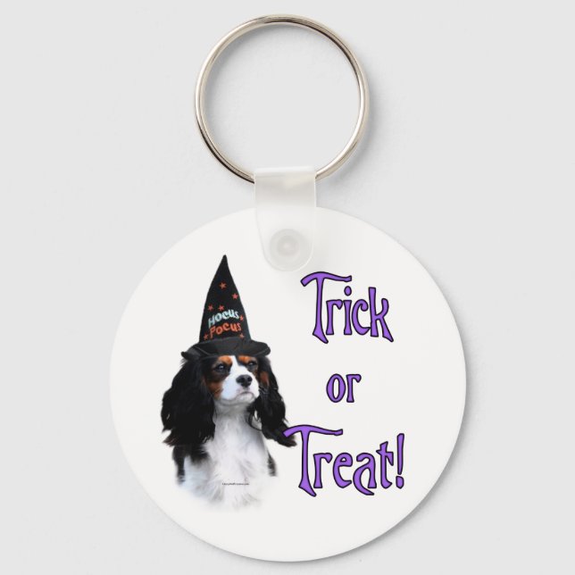 Porte-clés Cavalier King Charles Spaniel Trick (Recto)