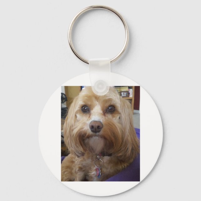 Porte-clés Cavapoo or Cavadoodle products (Recto)