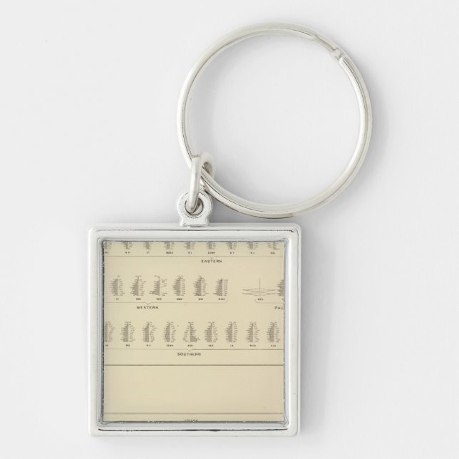 Porte-clés Cécité, statistique US Lithographe (Devant)