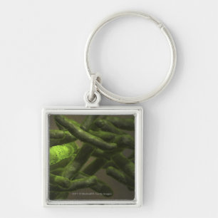 Porte-clés Cellules de bacille de la tuberculose