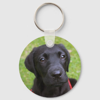 Porte-clés Cercle de clé Black Labrador