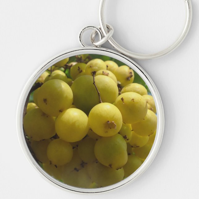 Porte-clés Cercle porte - clé de fruits (Devant)