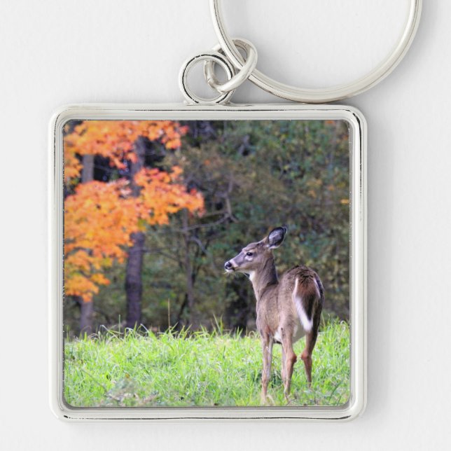 Porte-clés Cerf à queue blanche dans un champ d'automne (Devant)