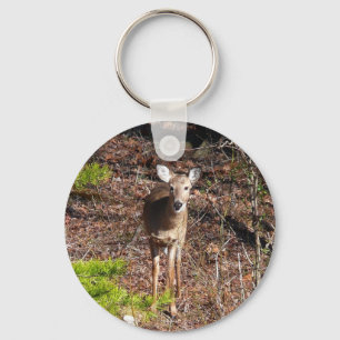 Porte-clés Cerf adorable dans les bois Photographie de la nat