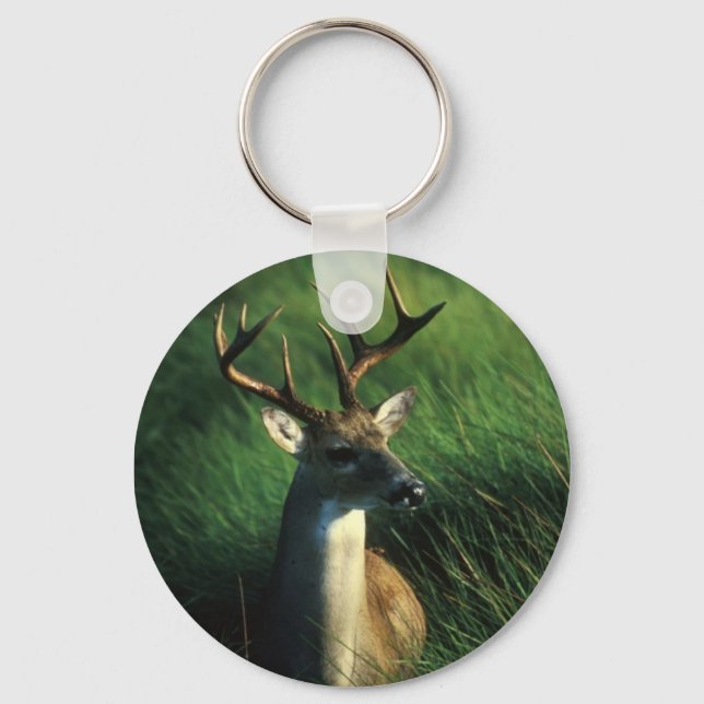 Porte-clés Cerf / Buck blanc (Recto)