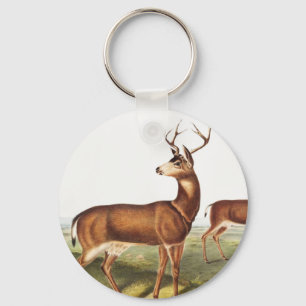 Porte-clés Cerf de Virginie (Cervus Richardsonii)