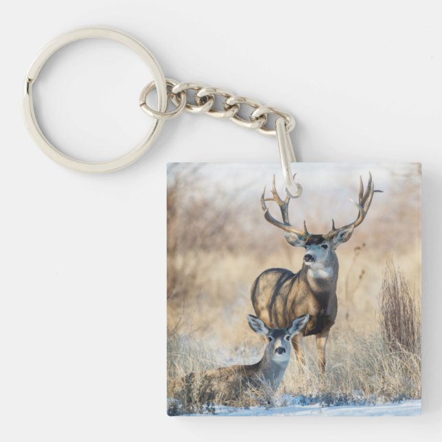 Porte-clés Cerf mulet mâle et femelle (Devant)