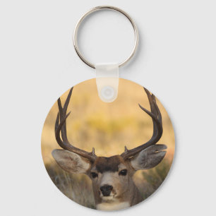 Porte-clés cerfs communs