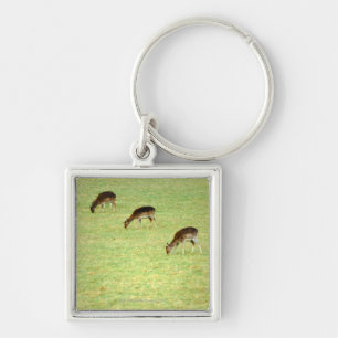 Porte-clés cerfs communs 2