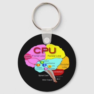 Porte-clés Cerveau processeur