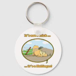 Porte-clés C'est pas un truc.