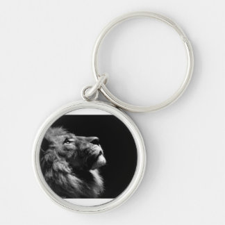Porte-clés Chaîne de clés Lion