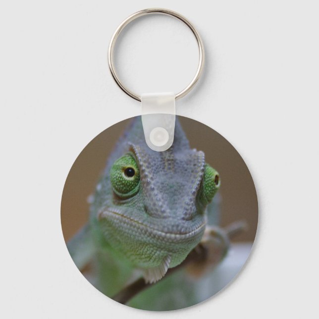 Porte-clés Chameleon voilé (Recto)