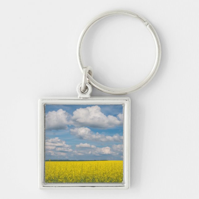 Porte-clés Champ de Canola & Nuages (Devant)