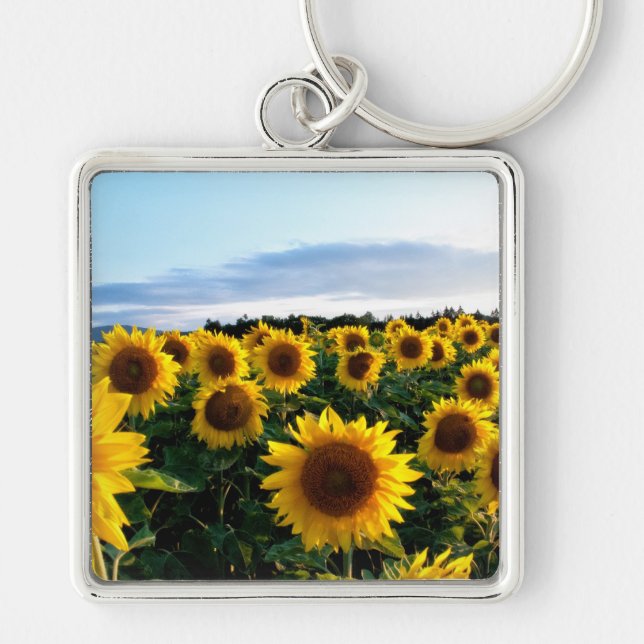 Porte-clés Champ de tournesols (Devant)