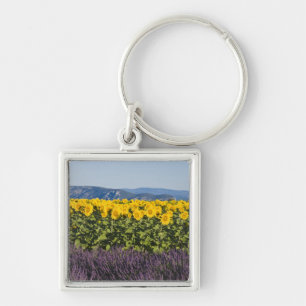 Porte-clés Champ de tournesols et fleurs de lavande,