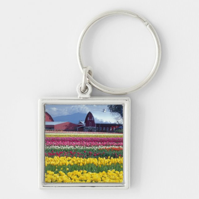 Porte-clés Champ de tulipes (Devant)