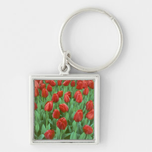 Porte-clés Champ de tulipes en fleurs au printemps.