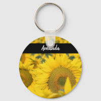 Champ jaune de tournesols photo