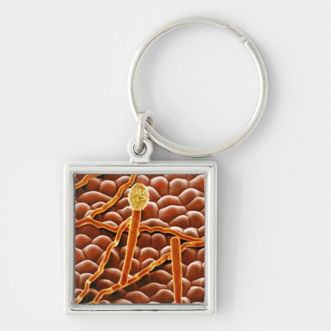 Porte-clés Champignon de rouille pulvérulente sur la (Devant)