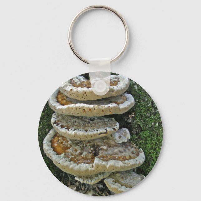 Porte-clés Champignons de plateau sur souche (Recto)