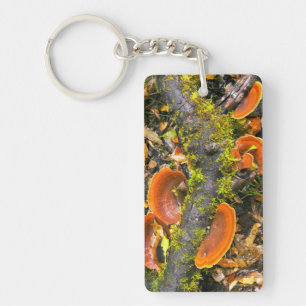Porte-clés Champignons poussant sur des branches, le Knysna-A