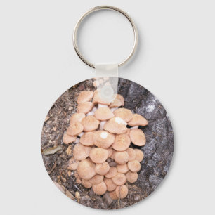 Porte-clés champignons sans anneau