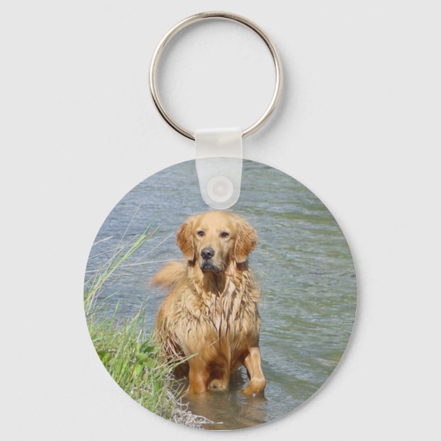 Porte-clés Chance ~ le Golden Retriever (Recto)