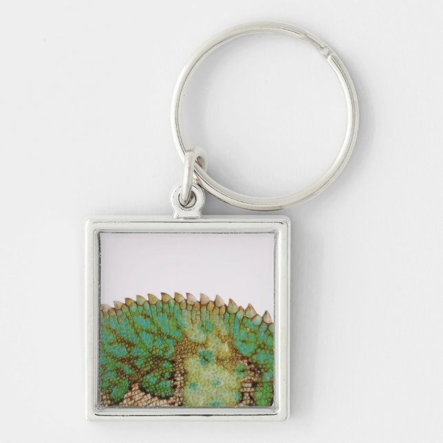 Porte-clés Changement de peau de caméléon (Devant)
