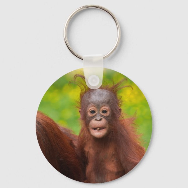 Porte-clés Charme bizarre d'un bébé orangoutan (Recto)