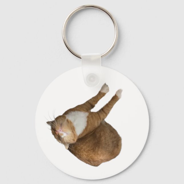 Porte-clés Chat au soleil à l'envers (Recto)