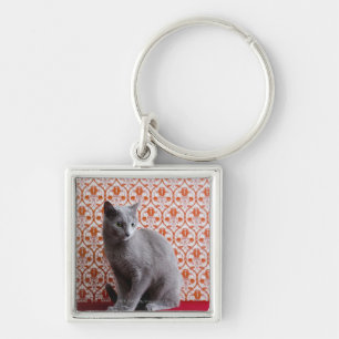 Porte-clés Chat (bleu russe) et arrière - plan de papier