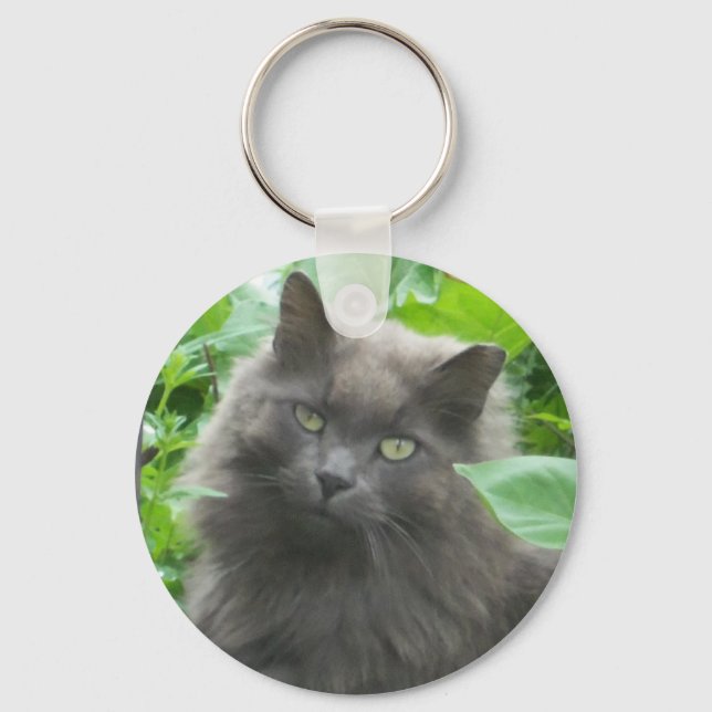 Porte-clés Chat bleu russe gris-long (Recto)