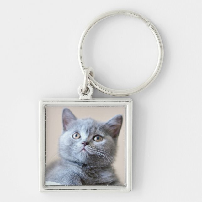 Porte-clés Chat britannique gris de Shorthair (Devant)