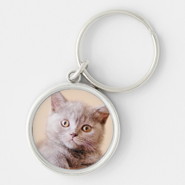 Porte-clés Chat britannique mignon de Shorthair (Devant)