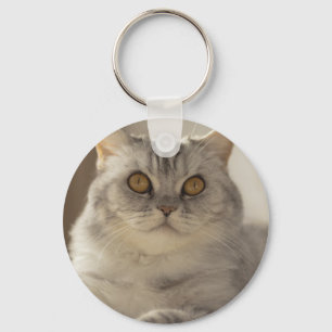 Porte-clés Chat, cheveux courts britanniques, Feline