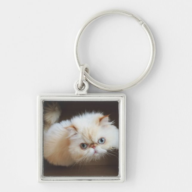 Porte-clés Chat dans une boîte (Devant)