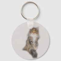 Chat de Maine Coon - Patché
