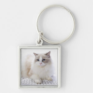 Porte-clés Chat de Ragdoll sur le clavier