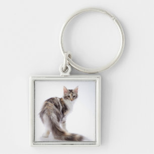 Porte-clés Chat de ragondin du Maine