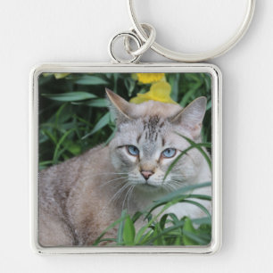 Porte-clés Chat de Siamese