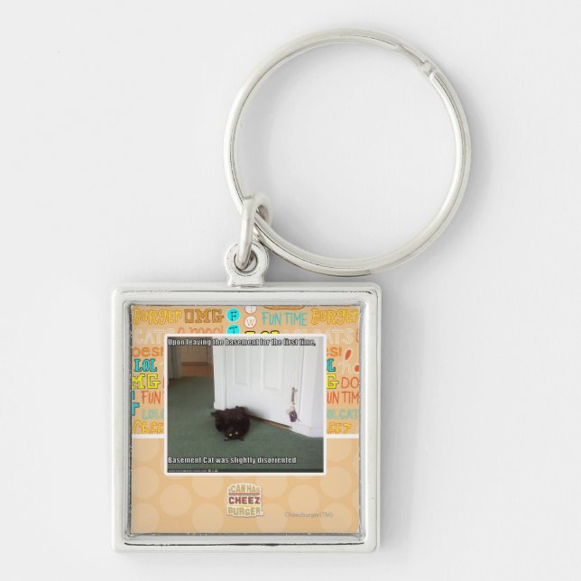 Porte-clés Chat de sous-sol, légèrement désorienté (Devant)